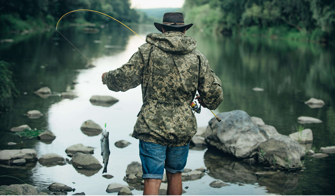Choose The Best Bait 