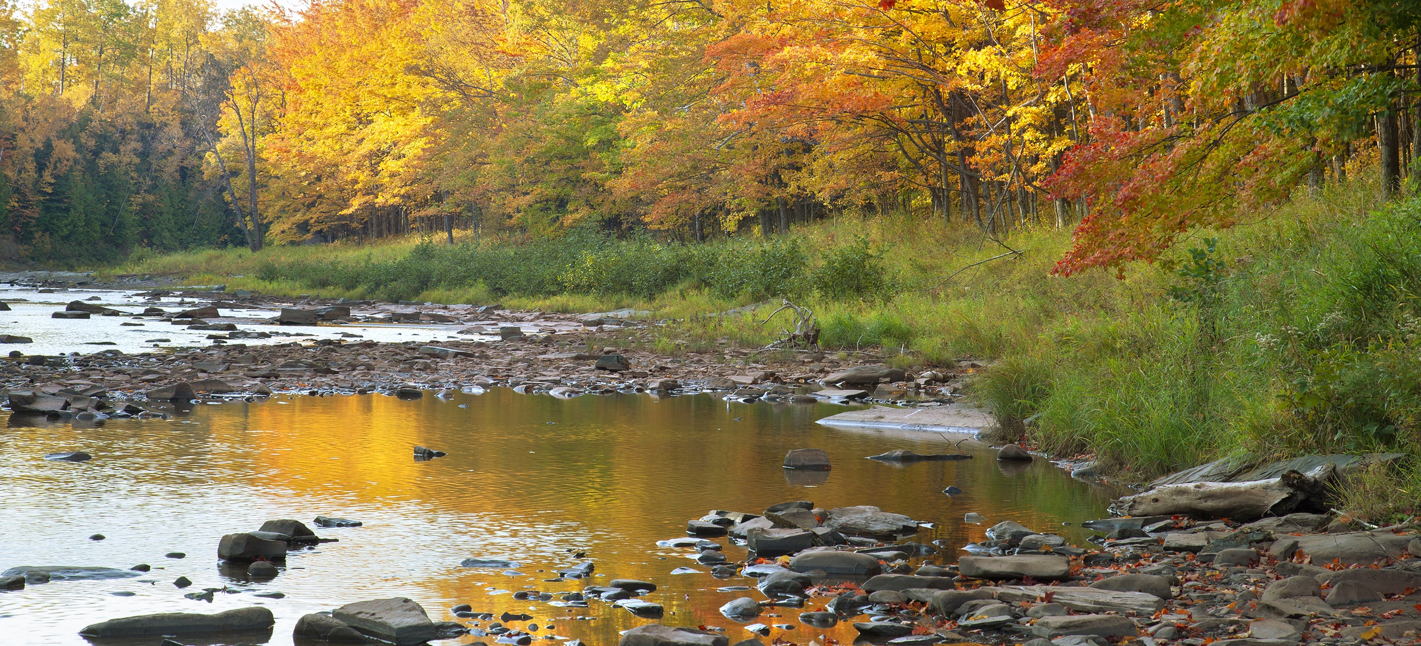 River with rocks near trees