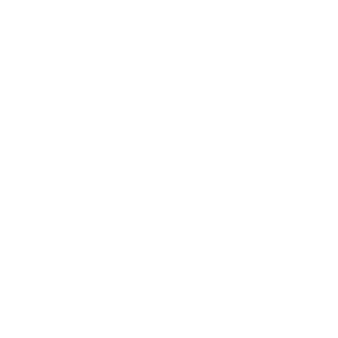 White American Flag