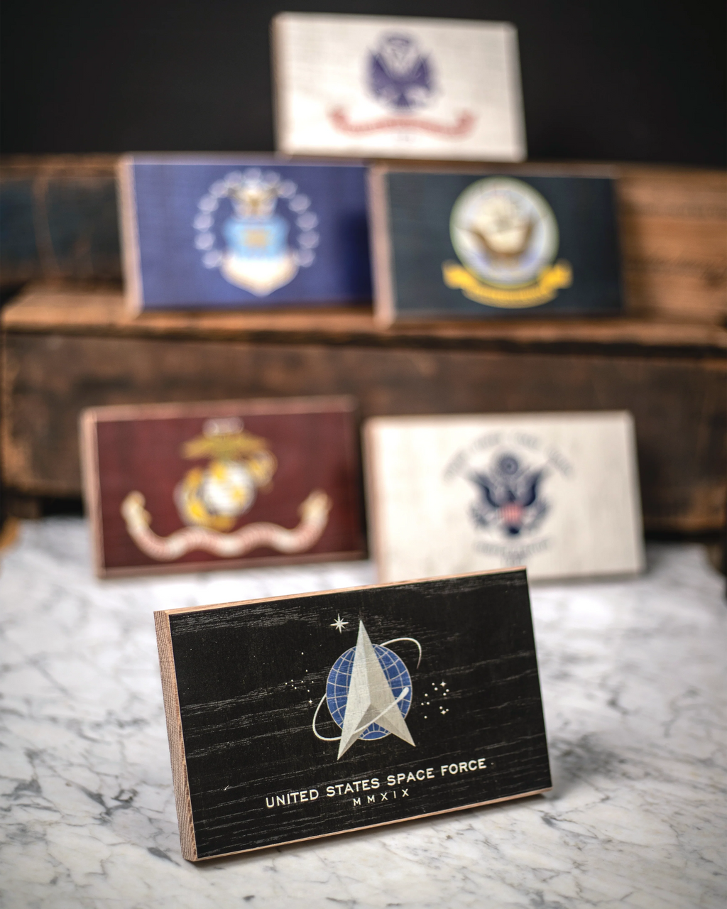 Space Force Wooden Desk Flag